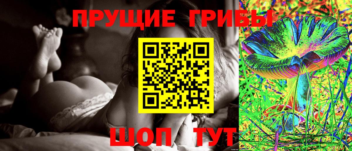 Псилоцибиновые грибы мухоморы Абинск